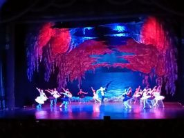 В Сочи открылись "Летние балетные сезоны".